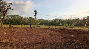 Gambar 1 Barat Pasar Godean: View Sawah Hijau