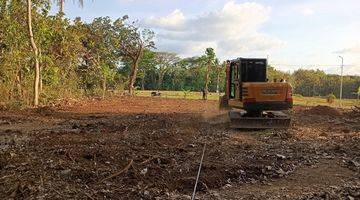 Gambar 5 Barat Pasar Godean: View Sawah Hijau