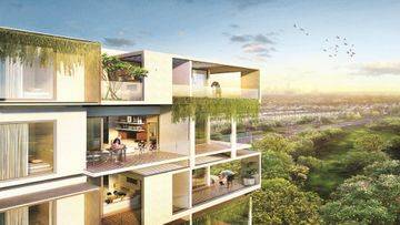 The Rosebay