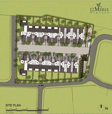 12 Merle Bintaro