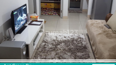 Harga Sewa Paling Murah Apartemen 2BR di Pluit Ready to Move Furnished