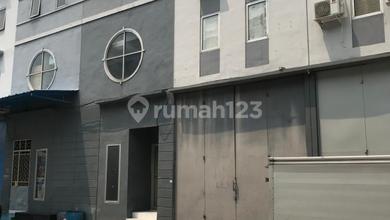 GUDANG ELANG LAUT PIK