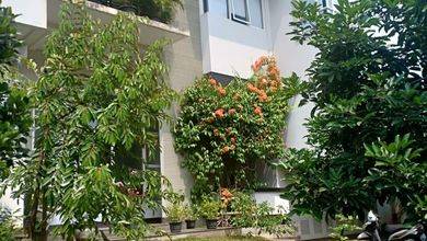 Jual Segera Rumah Mewah di BSD City, Tangerang, Luas 644 m2
