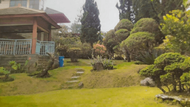 Rumah Minimalis area Lembang, Bandung, LT 1000 m2
