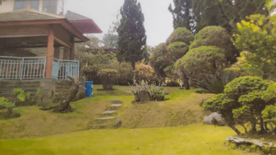 Rumah Minimalis area Lembang, Bandung, Luas 1000 m2