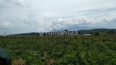 Tanah Favorit di Area Bandungan, Semarang, LT 4000m²