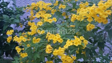 Kavling Hoek- Timur- Pluit- Muara Karang