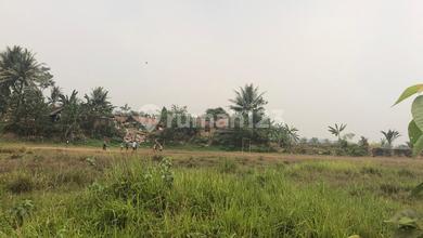 Tanah di parung panjang Jl. Dago Cikuda , Parung Panjang Bogor