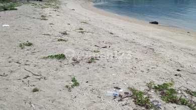 Tanah Elit Dijual di Celukanbawang, Buleleng, Harga 244 Triliun