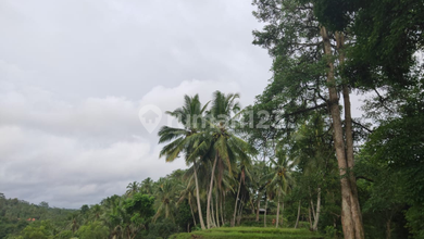 Tanah Elit Dijual di Tegallalang, Gianyar, Harga 2613 Triliun