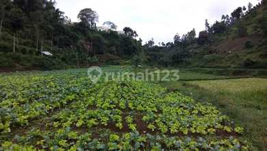 Dijual Tanah Eksklusif di Lembang, Bandung, LT 120000m²