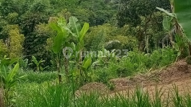 Dijual Kavling 2000000 m2 Lokasi Cluster Elit Ubud