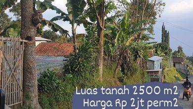 Dijual Kavling 2500 m2 di Komplek Elit Lembang