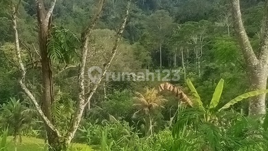 Jual Tanah Terjangkau di Area Payangan, Gianyar