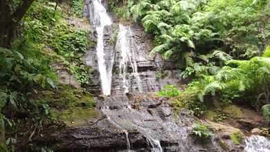 Dijual Tanah Premium di Gobleg, Buleleng, LT 30000m²