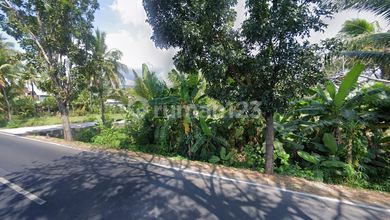 Tanah Siap Bangun Kawasan Cluster Lovina Buleleng