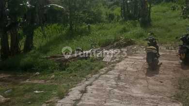 Kavling Tanah Lokasi Bagus 