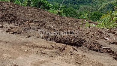 Kavling Prestisius Dijual di Kintamani, Bangli, Harga 25 Triliun