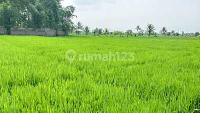 Kavling Prestisius Dijual di Karangtengah, Cianjur, Harga 2,7 Triliun