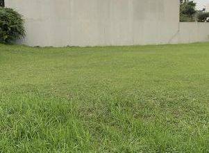 Kavling dengan Nilai Terjangkau di Gading Serpong Tangerang