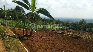 Tanah Siap Bangun di Cluster Sentul City Bogor