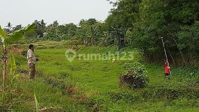 Tanah Elit Dijual di Cikande, Serang, Harga 226 Triliun