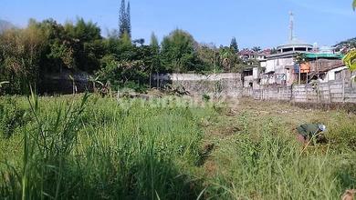 Tanah Kebun Di Padarincang Palasari Cipanas Jawa Barat