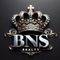 Agen BNS REALTY 2  Photo