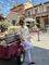 Agen Welson Vernandez  Photo