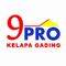 Agen 9pro Kelapa Gading  Photo