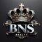 Agen BNS REALTY 7   Photo