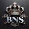 Agen BNS REALTY 9  Photo