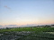 Agen Hadi Wijaya  Photo