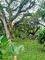 Agen Devina Devina Photo