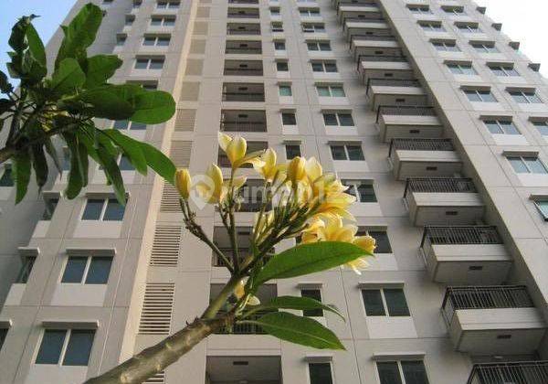 Apartemen Thamrin Residence Tower Alamanda Thamrin Jakarta Pusat 2