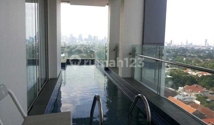luxurious apartment with private lift and private swimming pool