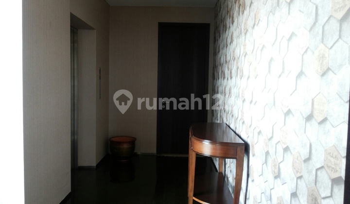 luxurious apartment with private lift and private swimming pool 2