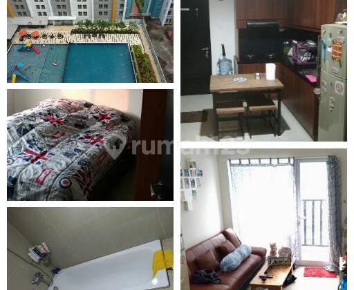 Apt. Skyline 1BR, in the Heart of Gading Serpong Steps to SMS Mall, Fully Furnished Apt. Skyline 1BR, in the Heart of Gading Serpong Steps to SMS Mall, Fully Furnished