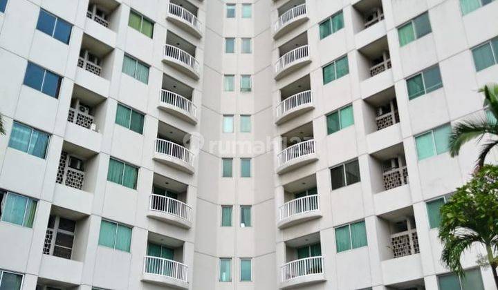 Apartement Bumi mas...  Murah...  Turun harga... Hunian nyaman aman dan asri 1