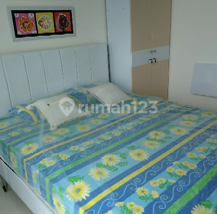 can immediately studio unit Tree Park Apartment can immediately studio unit Tree Park Apartment