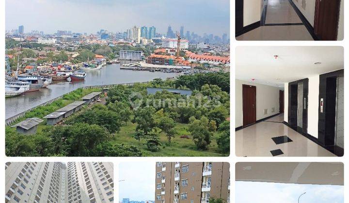 Apartemen Pluit Residenseas 2 BR 2