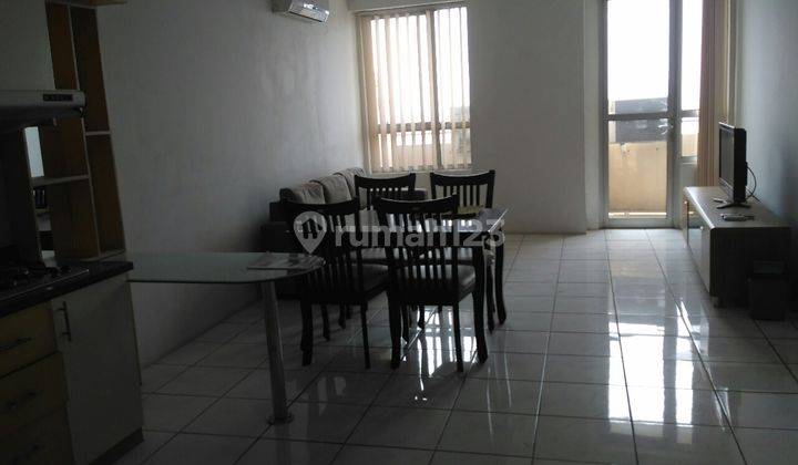 Apartemen Paladian Park Luas 69 M2 1br 2