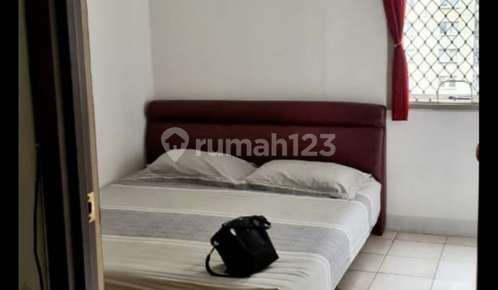  Best Deal Mediterania Garden Residence 1 (Tanjung Duren) 2 Kamar Tidur (40 m2) Apartemen Furnished Bagus Sekali, Tower C / Middle Floor / Pool View, 39 Juta/Tahun, Tanjung Duren, Jakarta Barat 1
