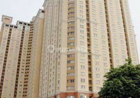 Apartemen Sangat Murah di Mediterania Garden 1 Tower Dahlia 1