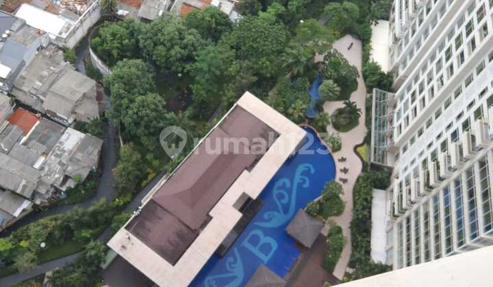 Botanica Apartemen Resident View Swimming Pool . High Floor Elegant Room 2
