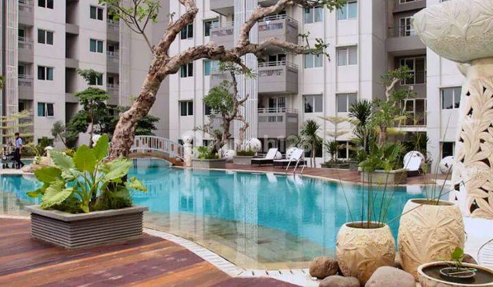 Best Price sewa Apartemen Sky Terrace Jakarta Barat 2