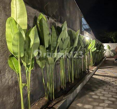 Zebua bali residence 1