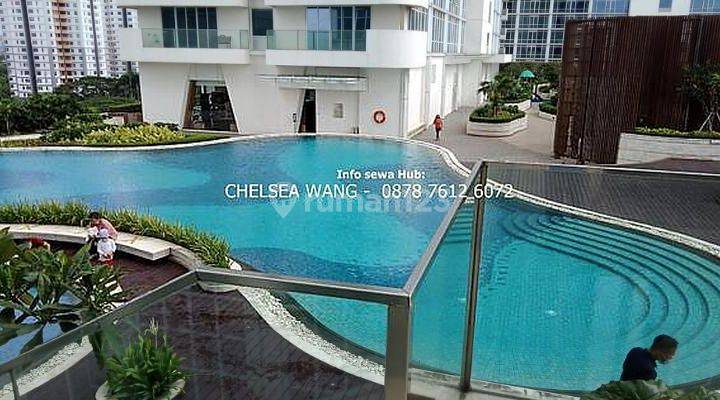 cepat Apartemen Mewah di Lippo Karawaci 1 BR Fullyfurnished (Jalan Kaki ke Supermal Karawaci) 1