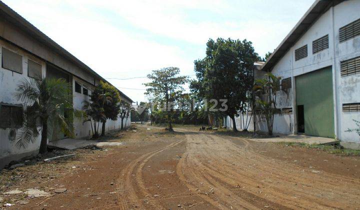 Gudang Bagus 1 Lantai Di Jalan Raya Semarang Demak 2