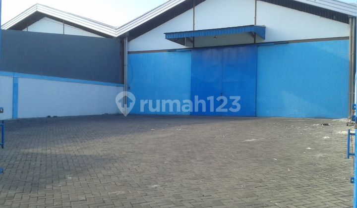 Gudang Mutiara Tambak Langon Surabaya Istimewa Luas Bagus Modern & Siap Pakai Gudang Mutiara Tambak Langon Surabaya Istimewa Luas Bagus Modern & Siap Pakai
